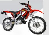 2008 Factory Bike Desert RP50 photo